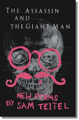 Assassin and Giant Man Cover picture