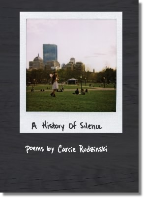 History
                  of Silence cover small